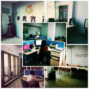 臺州神鷹信息咨詢服務 權威解讀與專業支持